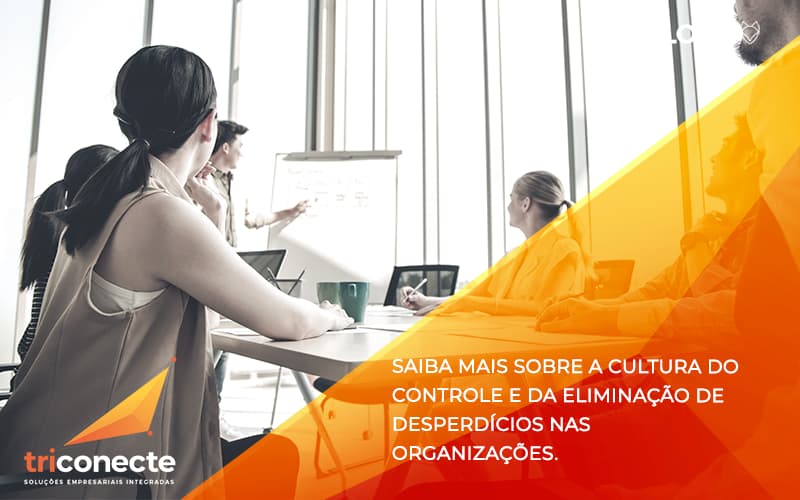 Saiba mais sobre a cultura do controle e da eliminação de desperdícios nas organizações. - Triconecte